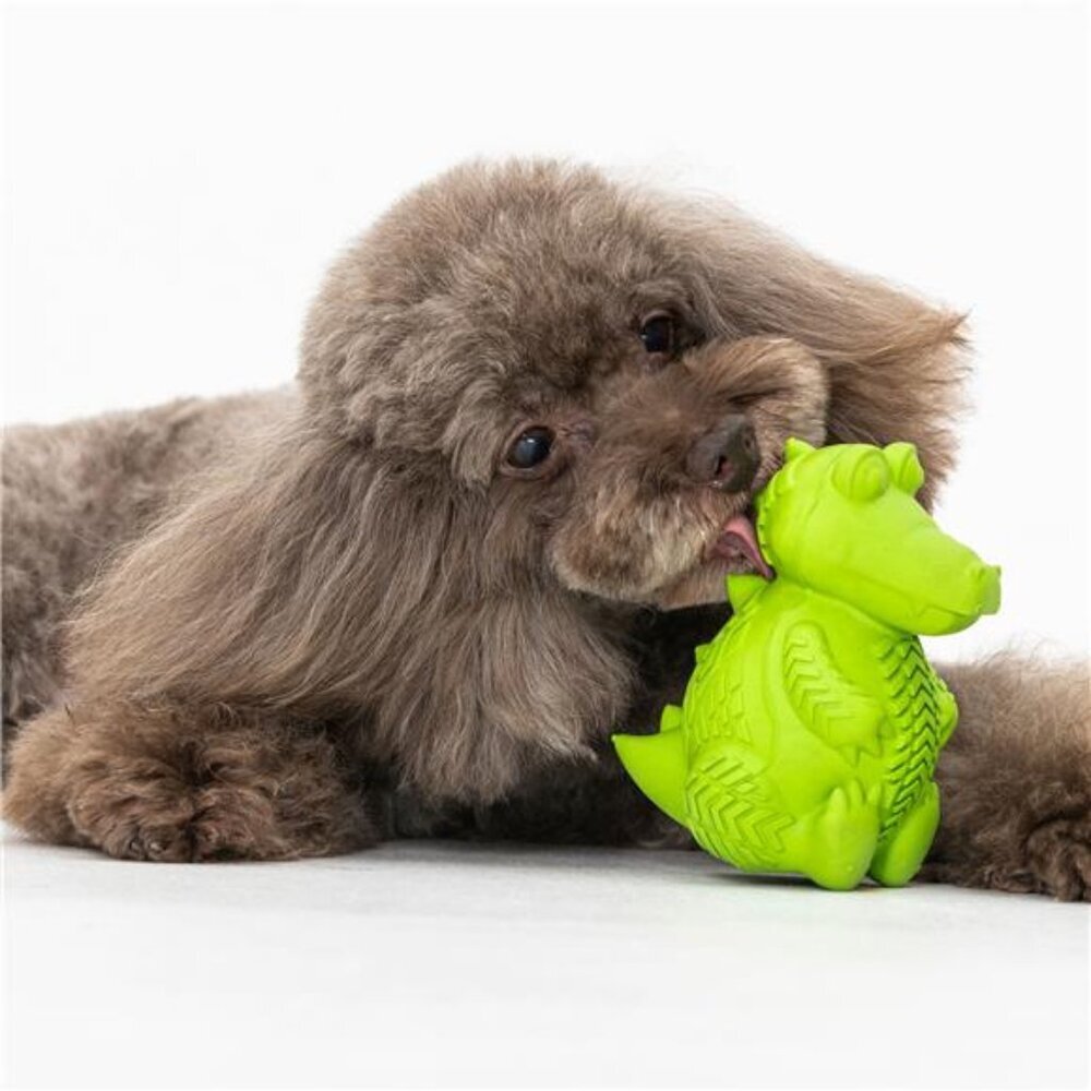 Treat Buddy Rubber Dog Toy, Chew Level 5, Medium